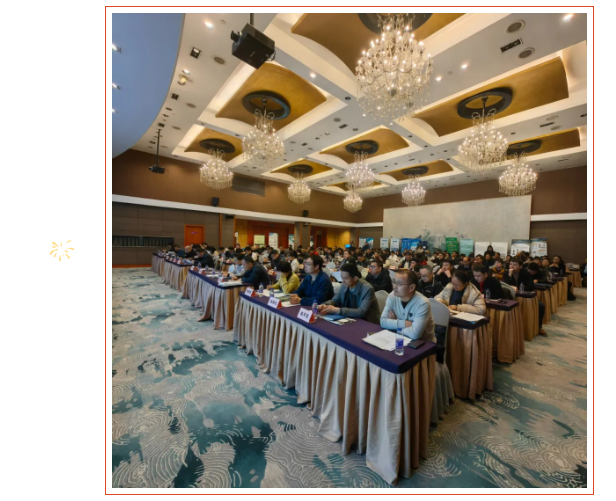 1742536952163464.png 1742536942330.png